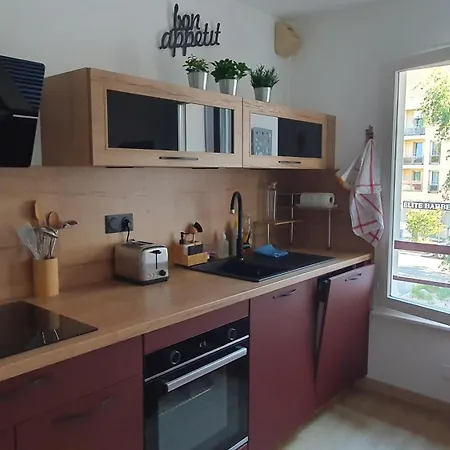 Le 7, Hyper Centre, Garage, Balcon, 2 * Colmar